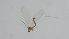  ( - DIPEDF_FI2a_01)  @11 [ ] Creative Commons-Attribution Non Commercial-Share Alike (2022) Lujza Keresztes Unspecified