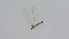  ( - DIPEDF_FI2a_02)  @11 [ ] Creative Commons-Attribution Non Commercial-Share Alike (2022) Lujza Keresztes Unspecified