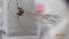 ( - DIPEDF_FI2d_01)  @11 [ ] Creative Commons-Attribution Non Commercial-Share Alike (2022) Lujza Keresztes Unspecified