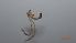  ( - DIPEDP_FI2a_01)  @11 [ ] Creative Commons-Attribution Non Commercial-Share Alike (2022) Lujza Keresztes Unspecified