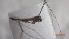  ( - DIPEDP_FI2a_02)  @11 [ ] Creative Commons-Attribution Non Commercial-Share Alike (2022) Lujza Keresztes Unspecified