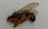  ( - DIPL-ROCJIP-MI-01)  @11 [ ] Creative Commons-Attribution Non Commercial-Share Alike (2021) Lujza Keresztes Unspecified