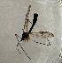  ( - DIPT-PPSC-ROCJIP-BU-01)  @11 [ ] Creative Commons-Attribution Non Commercial-Share Alike (2024) Lujza Keresztes Unspecified