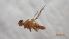  ( - DISC_IZ_01)  @11 [ ] Creative Commons-Attribution Non Commercial-Share Alike (2022) Lujza Keresztes Unspecified