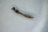  ( - DISI_BUH_02)  @11 [ ] Creative Commons-Attribution Non Commercial-Share Alike (2023) Andrei Terec Unspecified