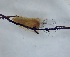 ( - DISI_IEZER_06)  @11 [ ] Creative Commons-Attribution Non Commercial-Share Alike (2023) Andrei Terec Unspecified