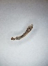  ( - DISI_ROD1_02)  @11 [ ] Creative Commons-Attribution Non Commercial-Share Alike (2023) Lujza Keresztes Unspecified