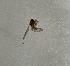  ( - DITH-TBE-ROCJDP-PM-01)  @11 [ ] Creative Commons-Attribution Non Commercial-Share Alike (2021) Lujza Keresztes Unspecified