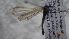  ( - DITITS_MN_01)  @11 [ ] Creative Commons-Attribution Non Commercial-Share Alike (2022) Lujza Keresztes Unspecified