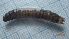  ( - DITITX_SC2a_01)  @11 [ ] Creative Commons-Attribution Non Commercial-Share Alike (2022) Lujza Keresztes Unspecified