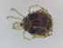  ( - G-HY-SPGL-SC1-01)  @11 [ ] Creative Commons-Attribution Non Commercial-Share Alike (2021) Mirela Cimpean Unspecified