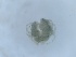  ( - HY-AR-FI2bm-03)  @11 [ ] Creative Commons-Attribution Non Commercial-Share Alike (2022) Cîmpean Mirela Unspecified