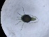  ( - HY-AR-SC3b-01)  @11 [ ] Creative Commons-Attribution Non Commercial-Share Alike (2022) Cîmpean Mirela Unspecified