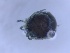  ( - HY-AR-SC3b-02)  @11 [ ] Creative Commons-Attribution Non Commercial-Share Alike (2022) Cîmpean Mirela Unspecified