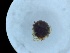  ( - HY-LE-FI2bm-04)  @11 [ ] Creative Commons-Attribution Non Commercial-Share Alike (2022) Cîmpean Mirela Unspecified