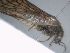  ( - MESISL_MN_HJ_03)  @11 [ ] Creative Commons-Attribution Non Commercial-Share Alike (2021) Lujza Keresztes Unspecified
