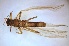  ( - PLLEAR-RO-BN-01)  @11 [ ] Creative Commons-Attribution Non Commercial-Share Alike (2021) Lujza Keresztes Unspecified