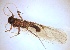  ( - PLLEAR-RO-BN-02)  @11 [ ] Creative Commons-Attribution Non Commercial-Share Alike (2021) Lujza Keresztes Unspecified