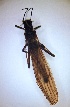  ( - PLLEPR-NMK-TE-03)  @11 [ ] Creative Commons-Attribution Non Commercial-Share Alike (2021) Lujza Keresztes Unspecified