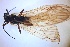  ( - PLPRNI-RO-CJ-01)  @11 [ ] Creative Commons-Attribution Non Commercial-Share Alike (2021) Lujza Keresztes Unspecified
