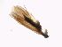  ( - TRRHOR-VB1-05)  @11 [ ] Creative Commons-Attribution Non Commercial-Share Alike (2021) Lujza Keresztes Unspecified