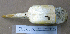  (Bucerotidae - 1B-2005)  @12 [ ] CreativeCommons - Attribution (2010) Unspecified Royal Ontario Museum