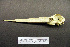  (Ephippiorhynchus - 1B-2976)  @12 [ ] CreativeCommons - Attribution (2010) Unspecified Royal Ontario Museum