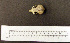  ( - 1B-2791)  @12 [ ] CreativeCommons - Attribution (2010) Unspecified Royal Ontario Museum