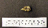  ( - 1B-2791)  @12 [ ] CreativeCommons - Attribution (2010) Unspecified Royal Ontario Museum