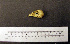  ( - 1B-2792)  @12 [ ] CreativeCommons - Attribution (2010) Unspecified Royal Ontario Museum