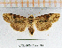  ( - CCDB-24269-E09)  @11 [ ] CreativeCommons  Attribution Non-Commercial Share-Alike (2016) Cristian Sitar Unspecified