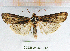  ( - CCDB-24269-E12)  @12 [ ] CreativeCommons  Attribution Non-Commercial Share-Alike (2016) Cristian Sitar Unspecified