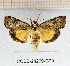  ( - CCDB-24269-G09)  @14 [ ] CreativeCommons  Attribution Non-Commercial Share-Alike (2016) Cristian Sitar Unspecified