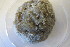  (Mycalidae - M10JOR0368-32)  @11 [ ] Unspecified (default): All Rights Reserved  Unspecified Unspecified