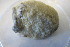  (Craniella cranium - M12HEL0339-3)  @11 [ ] Unspecified (default): All Rights Reserved  Unspecified Unspecified