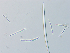  ( - 20240724-2)  @11 [ ] Unspecified (default): All Rights Reserved  Unspecified Unspecified