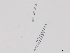  ( - 20240726-1)  @11 [ ] Unspecified (default): All Rights Reserved  Unspecified Unspecified