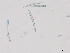  ( - 20240726-1)  @11 [ ] Unspecified (default): All Rights Reserved  Unspecified Unspecified