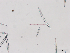  ( - 20240726-1)  @11 [ ] Unspecified (default): All Rights Reserved  Unspecified Unspecified