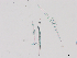  ( - 20240726-1)  @11 [ ] Unspecified (default): All Rights Reserved  Unspecified Unspecified