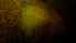  ( - 20240726-1)  @11 [ ] Unspecified (default): All Rights Reserved  Unspecified Unspecified