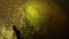  ( - 20240726-1)  @11 [ ] Unspecified (default): All Rights Reserved  Unspecified Unspecified