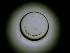  ( - PB-3)  @11 [ ] Copyright (2025) Unspecified Blijdorp Science and Conservation Center