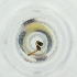  ( - RRHP_029_B6)  @11 [ ] by  Genome Research Ltd as Wellcome Sanger Institute Genome Research Limited operating as Wellcome Sanger Institute