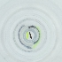  (Kakothrips - RRHP_029_E2)  @11 [ ] by  Genome Research Ltd as Wellcome Sanger Institute Genome Research Limited operating as Wellcome Sanger Institute