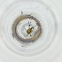  ( - RRHP_030_C12)  @11 [ ] by  Genome Research Ltd as Wellcome Sanger Institute Genome Research Limited operating as Wellcome Sanger Institute