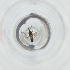  ( - RRHP_030_D11)  @11 [ ] by  Genome Research Ltd as Wellcome Sanger Institute Genome Research Limited operating as Wellcome Sanger Institute