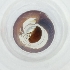  ( - RRHP_032_E12)  @11 [ ] by  Genome Research Ltd as Wellcome Sanger Institute Genome Research Limited operating as Wellcome Sanger Institute