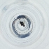  ( - RRHP_034_D6)  @11 [ ] by  Genome Research Ltd as Wellcome Sanger Institute Genome Research Limited operating as Wellcome Sanger Institute