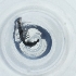  ( - RRHP_038_H2)  @11 [ ] by  Genome Research Ltd as Wellcome Sanger Institute Genome Research Limited operating as Wellcome Sanger Institute